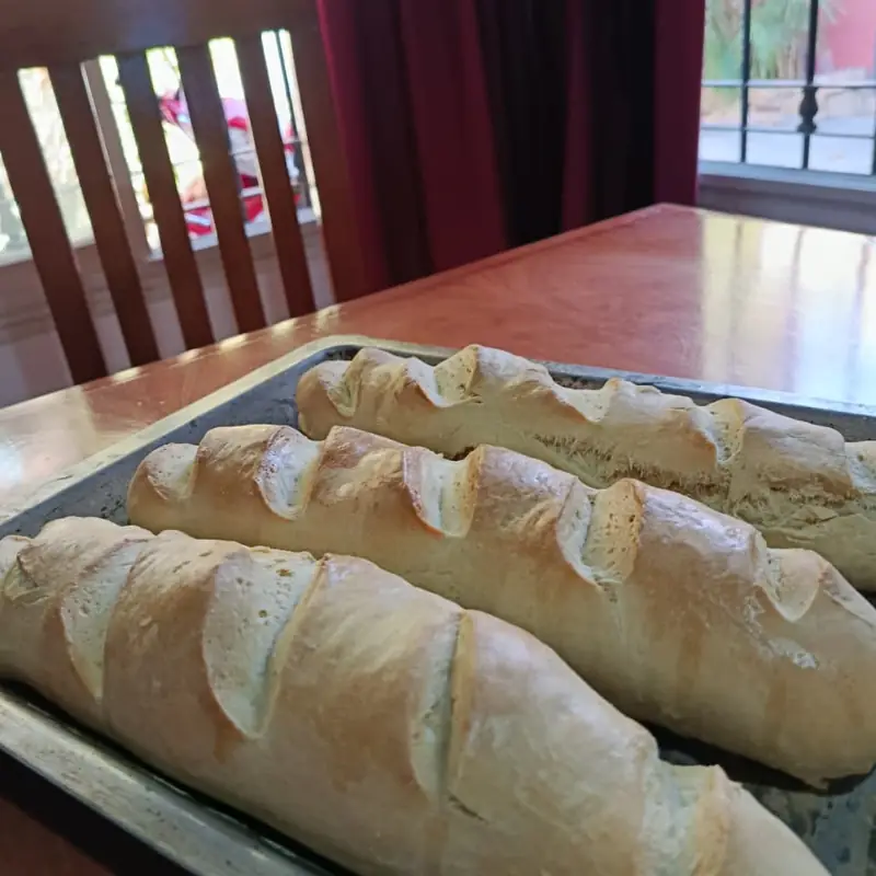 Panes caseros recién salidos del horno, todavía en la asadera